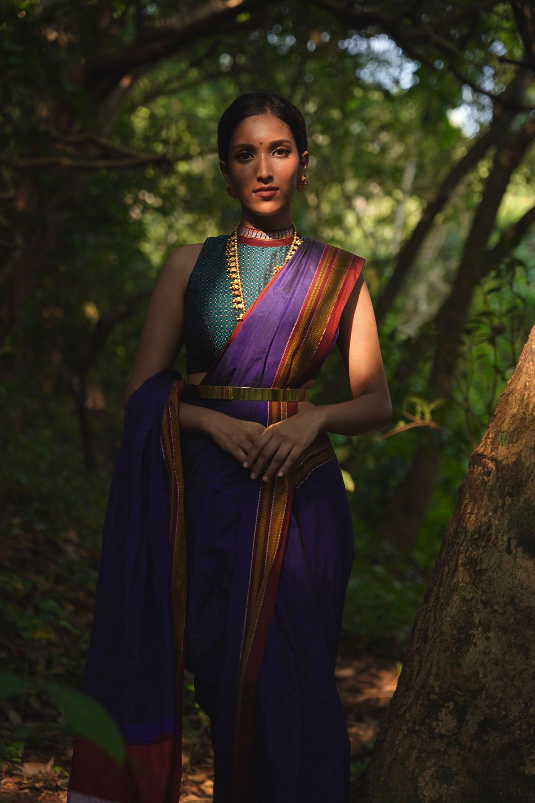 Purple saree